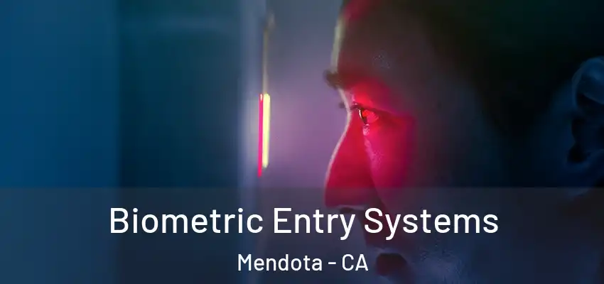  Biometric Entry Systems Mendota - CA
