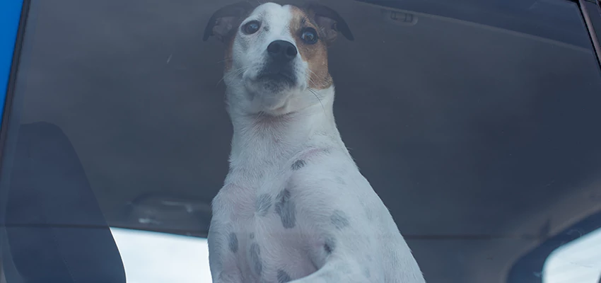 Car Lockout Solutions in Mendota, California