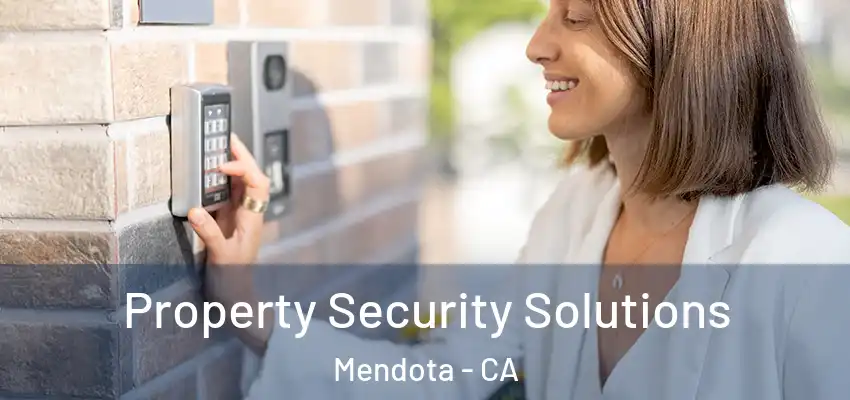  Property Security Solutions Mendota - CA